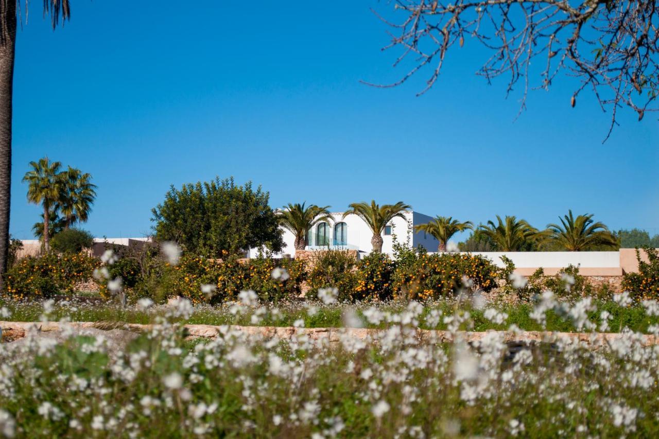 Safragell Ibiza & * Sant Llorenç de Balàfia